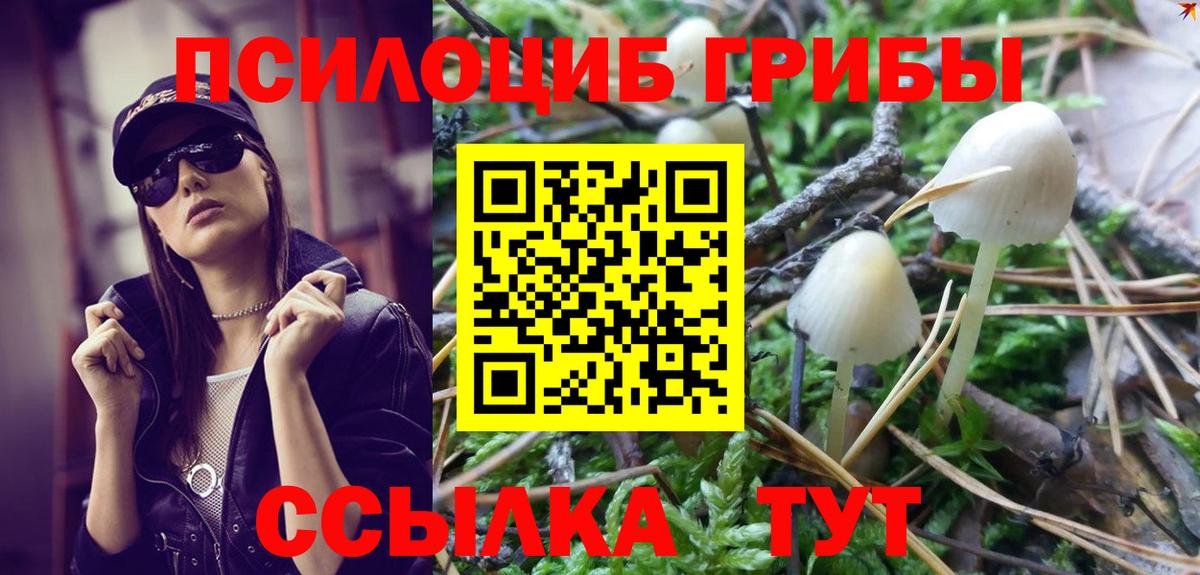 Псилоцибиновые грибы мухоморы Менделеевск